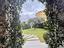 Immagine 14