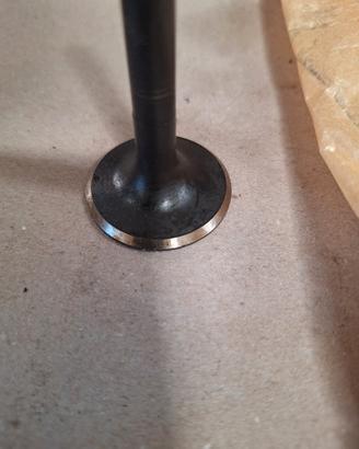 valvole aspirazione  Fiat 4550815 iveco 