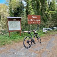riverside bici Trekking e urbano 