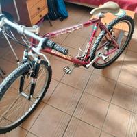 bicicletta