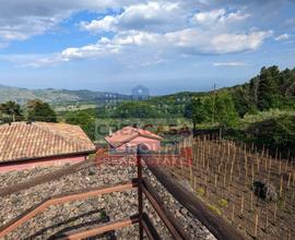 Terreno Agricolo - Linguaglossa