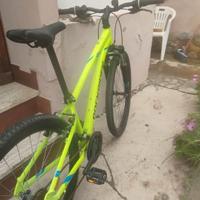 Bicicletta MTB