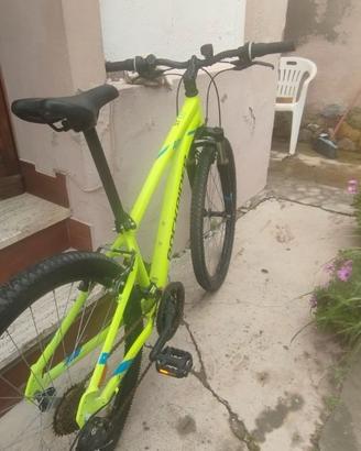Bicicletta MTB