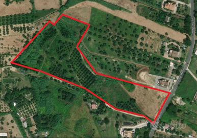 Terreno agricolo/edificabile