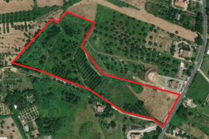 Terreno agricolo/edificabile