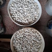 sassolini bianchi per giardino 