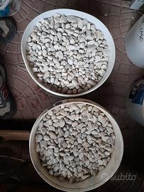 sassolini bianchi per giardino 