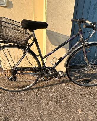 Bici donna citybike