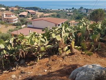 Vista mare panoramica