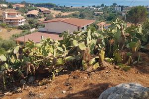 Vista mare panoramica