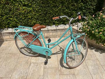 Bicicletta Alpina Bike Olanda