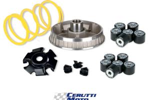 Variatore Malossi Multivar aprilia leonardo 125 15