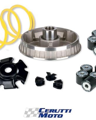 Variatore Malossi Multivar aprilia leonardo 125 15