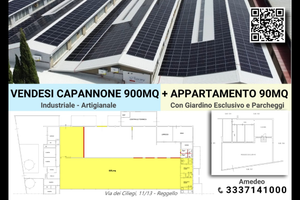 Capannone industriale + appartamento con giardino