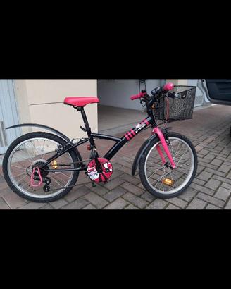 Bicicletta
