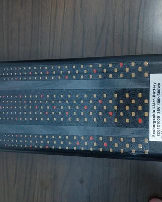 batteria elettrica con caricabatterie 