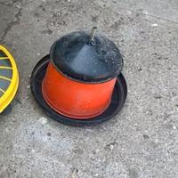 mangiatoie per polli
