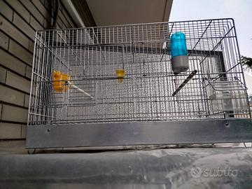 Gabbie per uccelli 