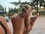 Immagine 5