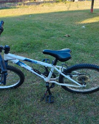 Bici Bambino Rockrider ST 120 usata