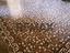 Immagine 12