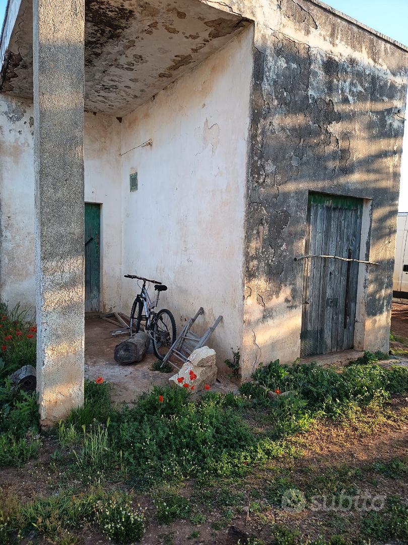 Vendita az.agricola - Vista 3