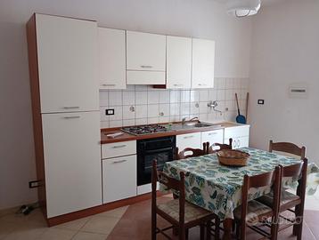 Agosto e Settembre in Sicilia a Marzamemi