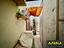Immagine 12