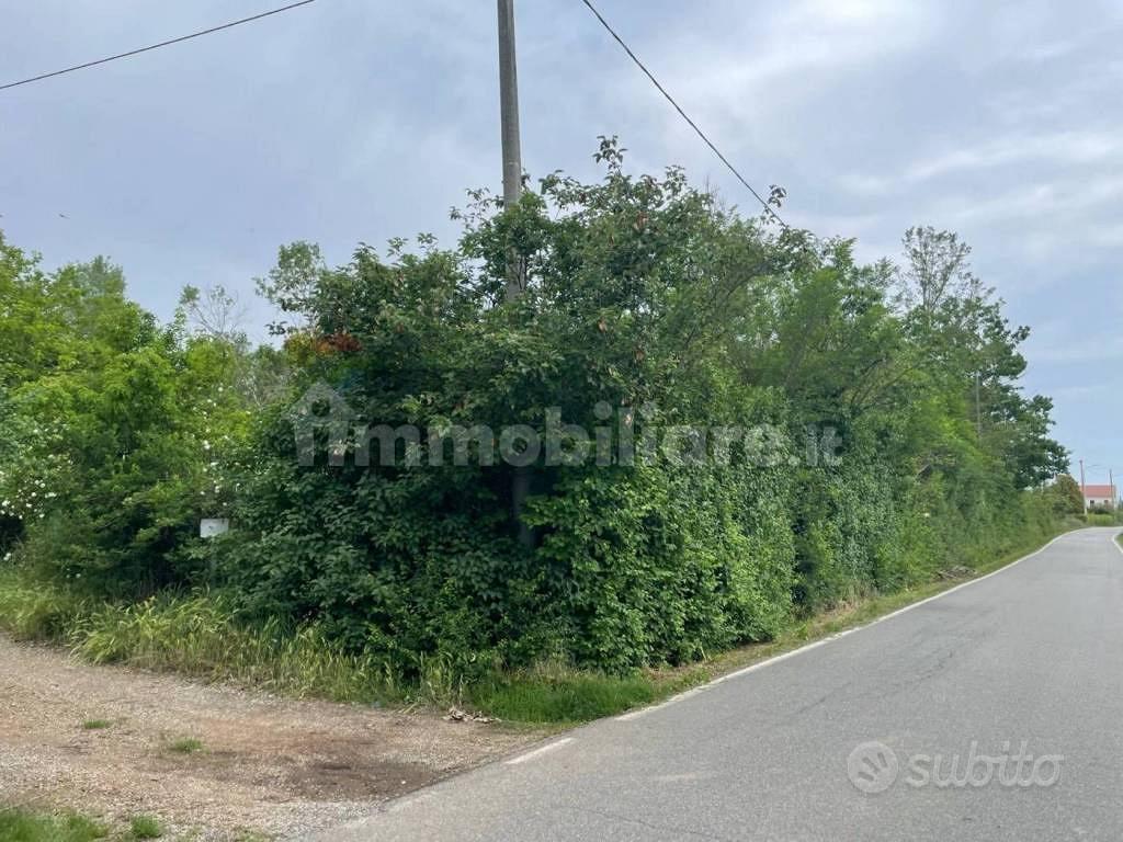 Terreno di 3350 m² a Masio - Vista 4