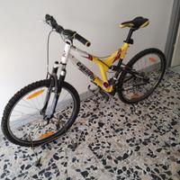 Bici Carnielli