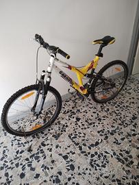 Bici Carnielli