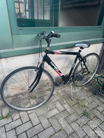 Bicicletta topbike