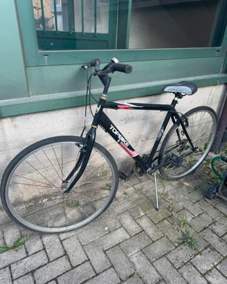 Bicicletta topbike
