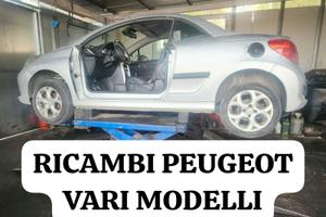 RICAMBI PEUGEOT 308 3008 208 309 EXPERT 108 5008