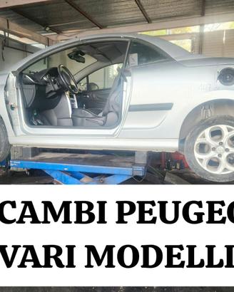 RICAMBI PEUGEOT 308 3008 208 309 EXPERT 108 5008