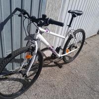 Bicicletta donna