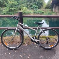 bicicletta donna rock rider