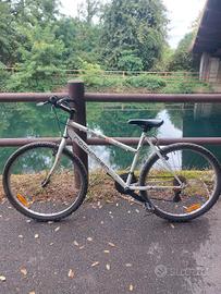 bicicletta donna rock rider