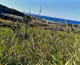 Terreno agricolo 2,500 MQ pianeggiante