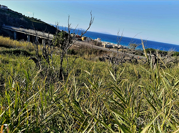 Terreno agricolo 2,500 MQ pianeggiante