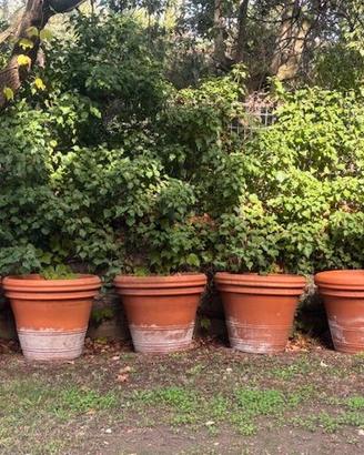 VASI  GRANDI DI TERRACOTTA