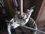 Immagine 2