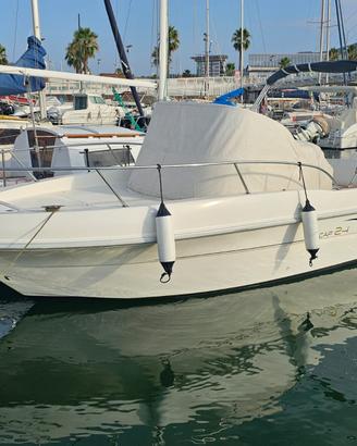 Capelli CAP 24 WA + Evinrude E-TEC 200 HO