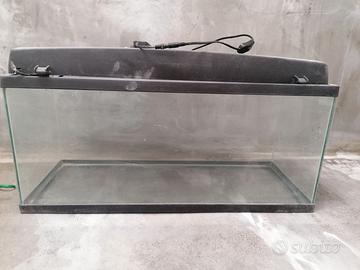 Acquario