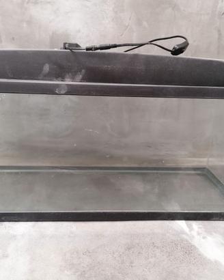 Acquario
