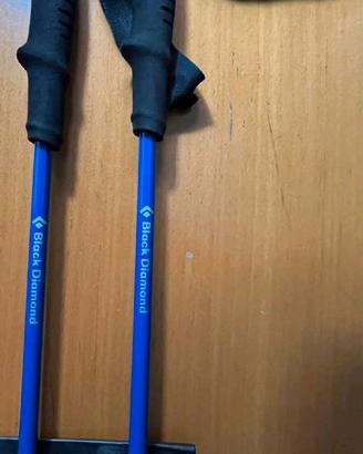 bastoni carbonio camminata 