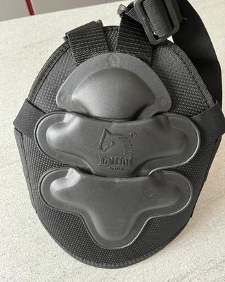 Protezione salvaschiena cavallo marca Tattini