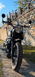 Triumph Scrambler 900 - 2017