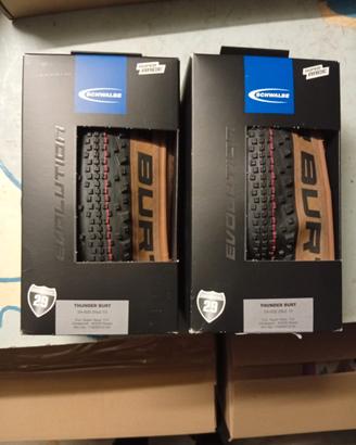 n°2 copertoni Schwalbe Thunder Burt Evo (29x2.1)
