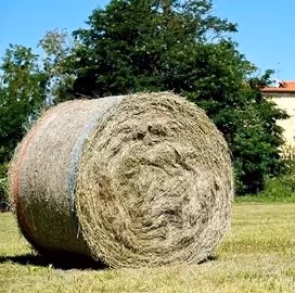 Fieno di prato stabile